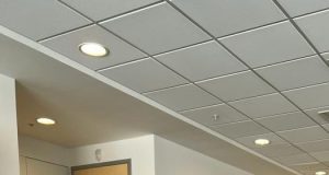 LOS GINECÓLOGOS TAMBIÉN ESCRIBEN POESÍA: JAVIER VÁSQUEZ VÁSQUEZ