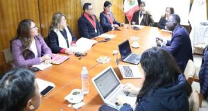 ONU investiga violencia en Puno durante protestas: Excesos de las FFAA en la mira