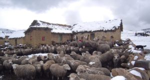 Lluvias y nevadas continuarán en los Andes hasta el sábado 13 de mayo por fenómeno DANA David