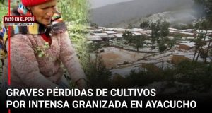 Pasó en el Perú | Dengue sigue cobrando vidas en Piura y fuerte granizada en Ayacucho devasta cien hectáreas de cultivo
