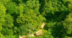 Comunidades del Bajo Amazonas denuncian que empresarios buscan negar derechos a pueblos indígenas