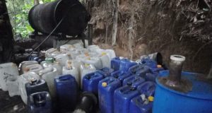 Destruyen laboratorios clandestinos de droga en el valle del Huallaga y el Vraem