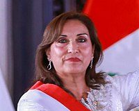 LA PRESIDENTE REMOTA