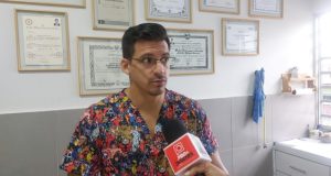 DEBEN MULTAR A DUEÑOS DE PERROS IRRESPONSABLES