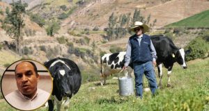Arequipa: Ganaderos lecheros a punto de quebrar por paralizaciones y efectos del Fenómeno El Niño