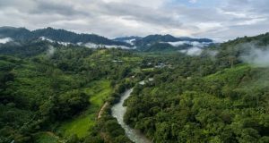 Inician plan de arranque para combatir la deforestación en la Amazonía peruana
