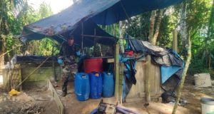 San Martín: Destruyen 5 laboratorios de droga valorizados en 41 mil dólares