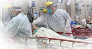 Dengue en Perú: Récord de muertes en América y el retorno de la fiebre amarilla