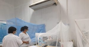 Dengue en Piura: Dos escolares mueren en un día y suman 69 los fallecidos por la epidemia