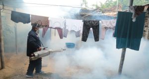 Dengue en Piura: Inician jornada de fumigación masiva en Chulucanas