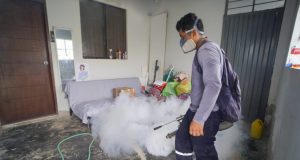 Piura requiere 6 millones de soles para prevenir más casos de dengue durante El Niño Global