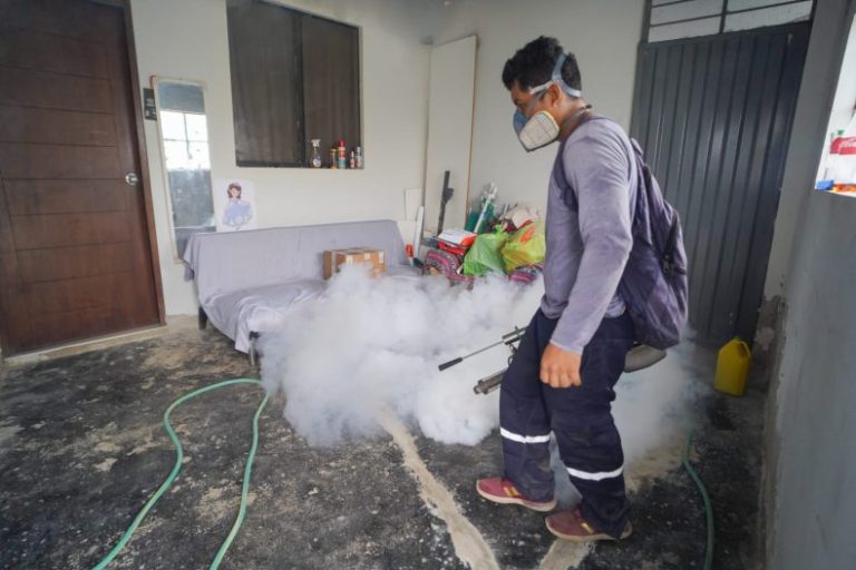 Piura requiere 6 millones de soles para prevenir más casos de dengue durante El Niño Global