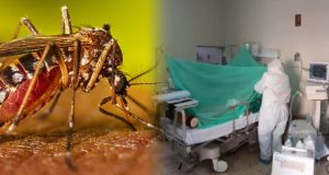 Piura: Epidemia de dengue se lleva 85 vidas y afecta a 44 mil personas