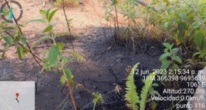 Loreto: Derrame de petróleo continúa sin atención luego de casi un mes