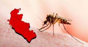 Dengue en Ica: Contagios suman más de 11 mil y se eleva la muerte de pacientes