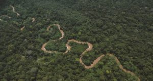 Nuevo ‘paquetazo ambiental’ del Congreso sigue pasando desapercibido