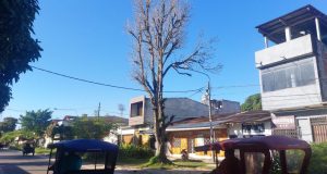 CALLE PUTUMAYO CARECE DE ÁRBOLES Y ABUNDA LA BASURA