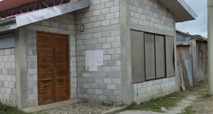 BIBLIOTECA DE BRETAÑA ES UN “ELEFANTE BLANCO”