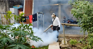 Huánuco: Registran descenso en número de casos de dengue en Leoncio Prado