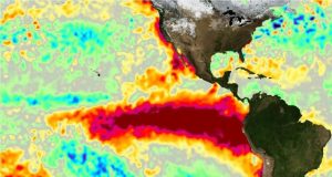 Fenómeno de El Niño podría acentuar la inseguridad alimentaria en el Perú