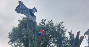 “MOMÓN EL GUARDIÁN DEL BOSQUE”, EL ATRACTIVO EN PLAZA DE PUNCHANA
