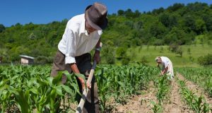 Juntas de Usuarios de Piura y Tumbes exigen apoyo al agro y respaldan protestas contra el gobierno