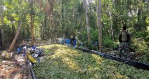 Ucayali: Destruyen 13 laboratorios clandestinos de producción de cocaína