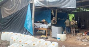 San Martín: Destruyen laboratorio de procesamiento de cocaína en Campanilla