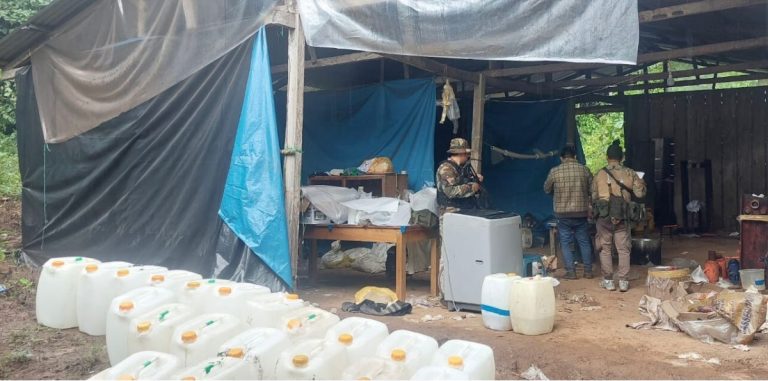 San Martín: Destruyen laboratorio de procesamiento de cocaína en Campanilla