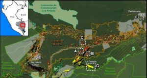 Madre de Dios: Casi el 77% de la deforestación se registró dentro del Corredor Minero