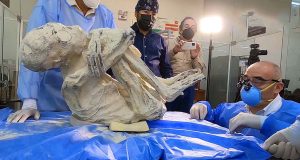 Ica: Fiscalía incautará ‘falsas momias alienígenas’ que están en la Universidad San Luis Gonzaga