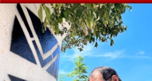 MUNICIPALIDAD DE PUNCHANA EMBELLECE MACETEROS DE LA AV. NAVARRO CAUPER