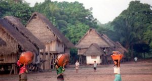 Desinformación y falta de enfoque intercultural ponen en riesgo a pueblos indígenas