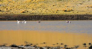 Ayacucho: Escasez de agua ya afecta a los agricultores y a la producción regional