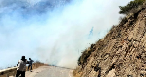 Áncash: Incendio forestal arrasa con 250 hectáreas de cobertura natural