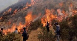 Puno: Incendio forestal en una comunidad de Carabaya arrasa pastizales por cuarto día consecutivo