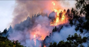 Apurímac: Confirman dos fallecidos a causa del incendio forestal en Aymaraes