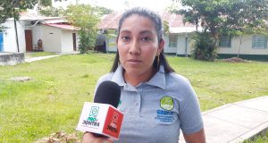 ARBORIZACIÓN EN IQUITOS SERÁ ANALIZADO