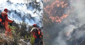 Apurímac: Un muerto, 6 desaparecidos y 11 heridos por incendio forestal en 100 hectáreas