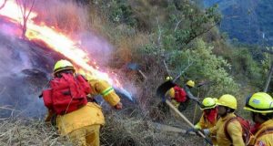 Cusco: Incendio forestal amenaza el Santuario Histórico de Machu Picchu