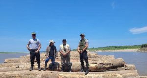 GERFOR REALIZA OPERATIVOS INOPINADOS CONTRA LA TALA ILEGAL EN LA PROVINCIA DE UCAYALI – CONTAMANA