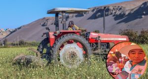 Sequía en Arequipa: Producción agrícola en Deán Valdivia se reduce 50% por escasez de agua