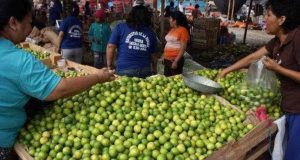 Precio del limón por las nubes: ¿A cuánto está este insumo en las regiones del Perú?