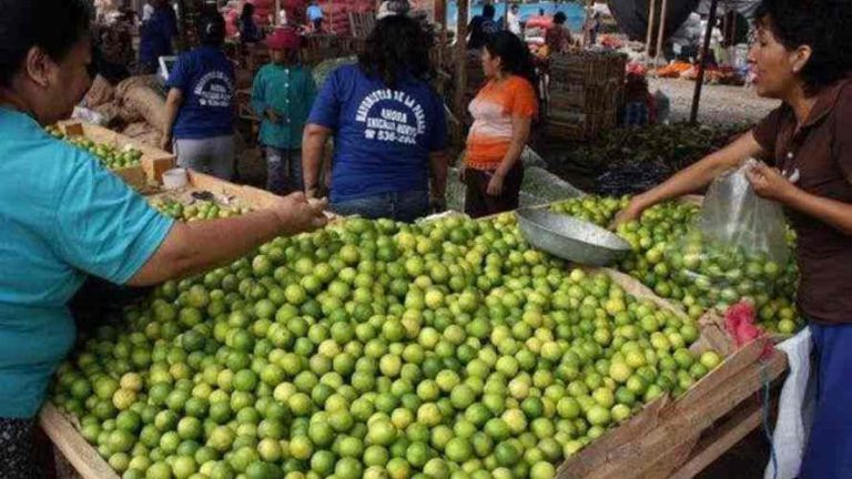 Precio del limón por las nubes: ¿A cuánto está este insumo en las regiones del Perú?