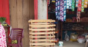 RECOLECTAN BOTELLAS DE PLÁSTICO PARA COMPRAR JUGUETES