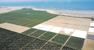 La Libertad: Empresa Agrícola Chicama apela sentencia que favorece a Chavimochic