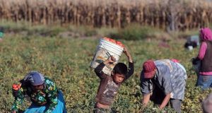 MISIONEROS USABAN EL PODER PARA ESCLAVIZAR NATIVOS