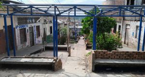 CALLE DE BELÉN SE CONVIERTE EN LETRINA PARA PERROS