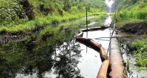 ADMITEN LOS PROPIOS DIRIGENTES: “HAY APUS INESCRUPULOSOS”