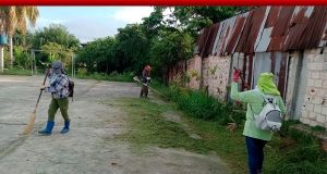 MANTENIMIENTO DE AREAS VERDES EN EL DISTRITO PUNCHANINO